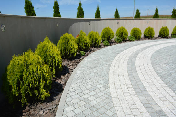 Best Residential Paver Driveway  in Hugo, MN